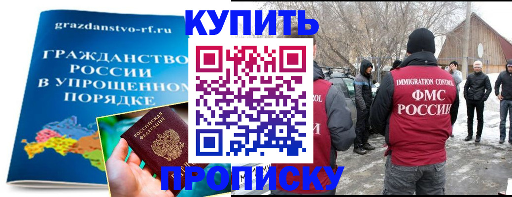 временная регистрация поиск в Благовещенске